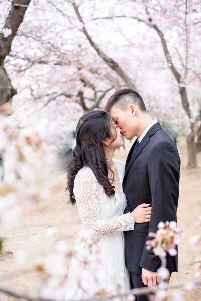 engaged couple at Cherry Blossom Washington DC engagement session